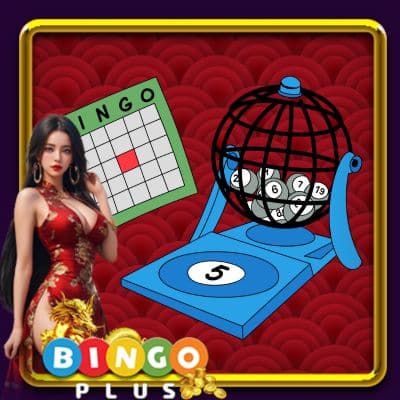 Bingoplus Bonus System - Maximizing Player Rewards