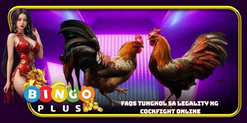 FAQs tungkol sa legality ng cockfight online