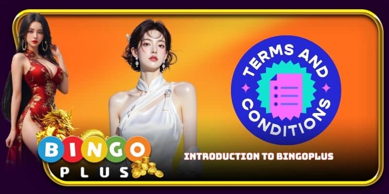 Introduction to Bingoplus terms and conditions
