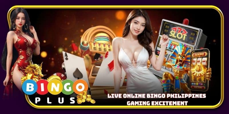 Live online bingo Philippines gaming excitement