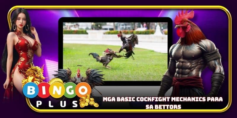 Mga basic cockfight mechanics para sa bettors