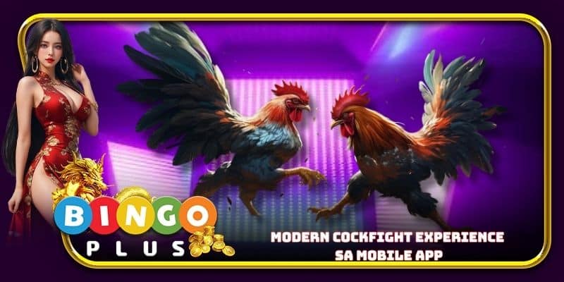 Modern cockfight experience sa mobile app
