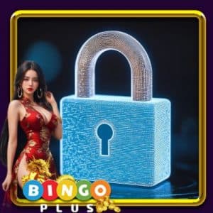 Privacy And Security - Meeting International Standards