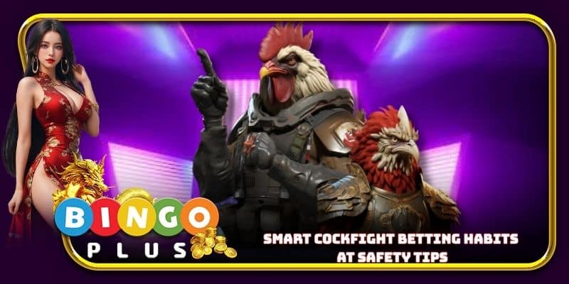 Smart cockfight betting habits at safety tips