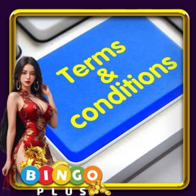Terms And Conditions - 4 Key Policy Rules At Bingoplus