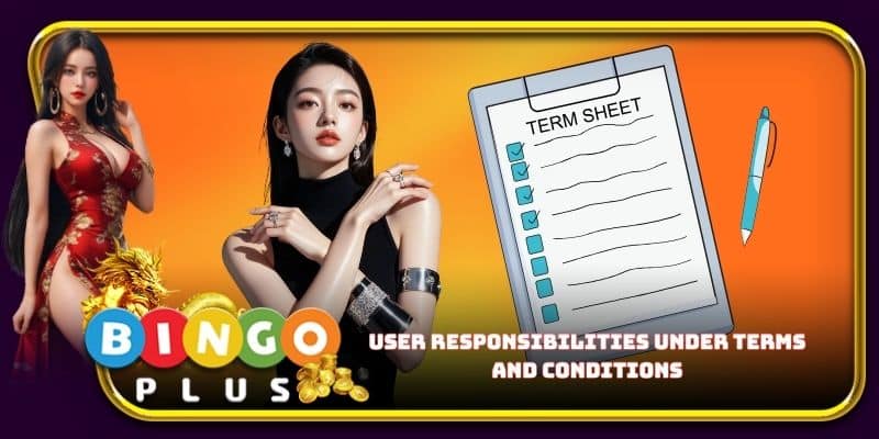 User responsibilities under terms and conditions